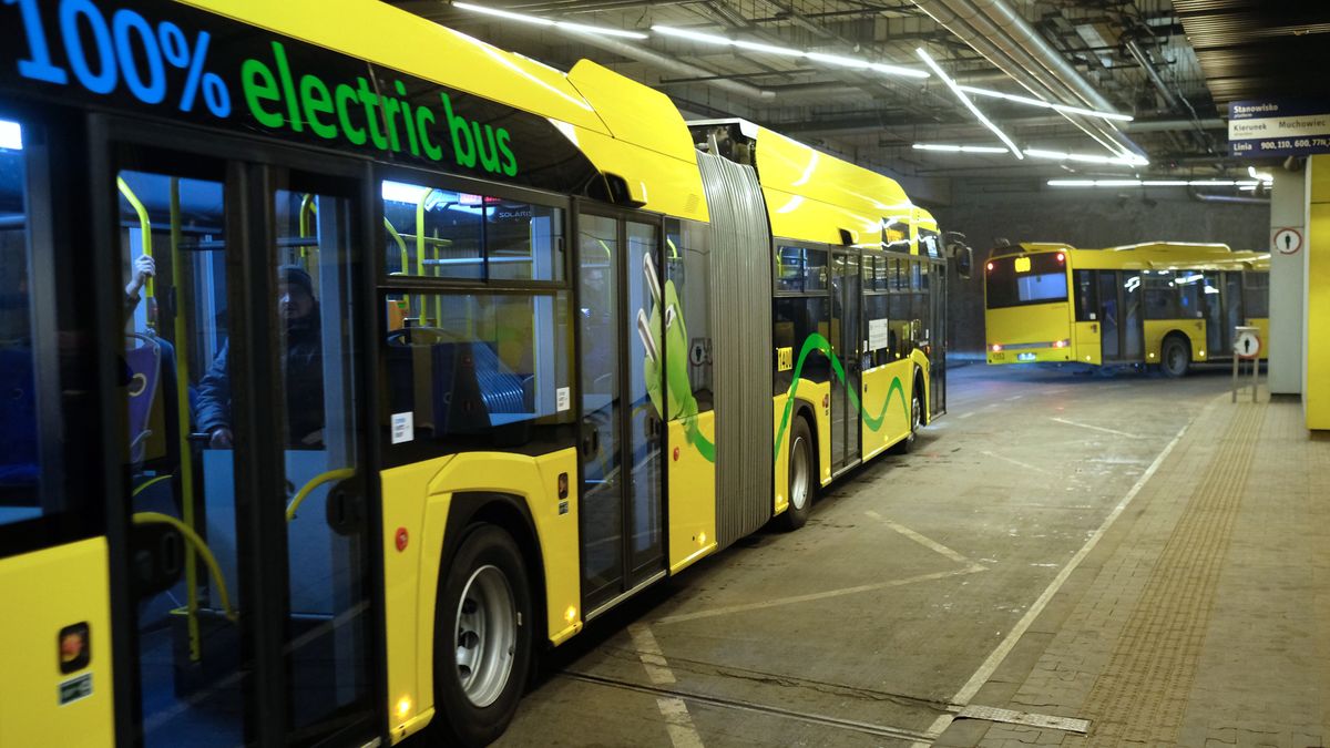 Autobusy w Katowicach. Zdjęcie poglądowe