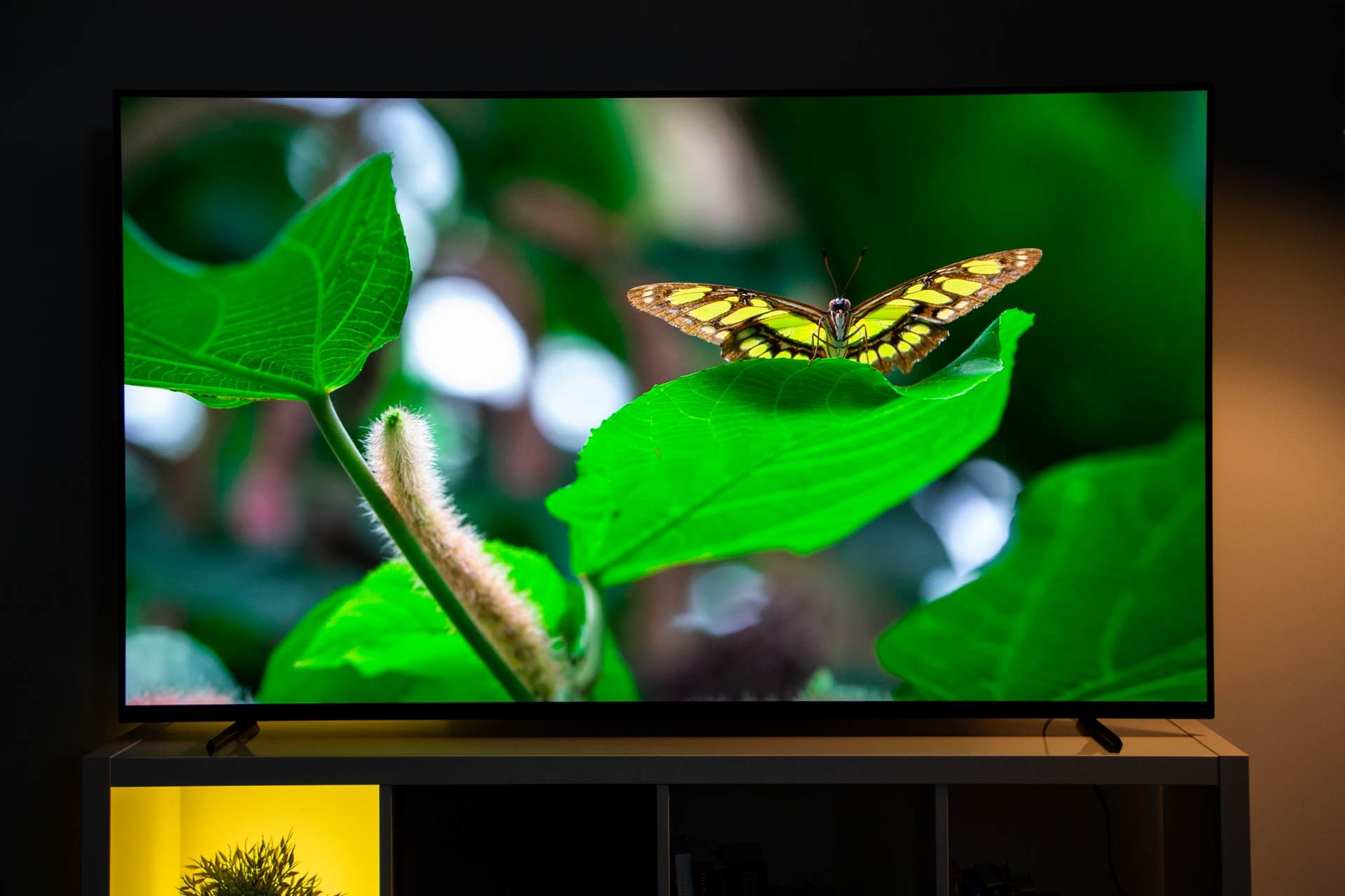Sony BRAVIA XR-65A80L - luminancja barw
