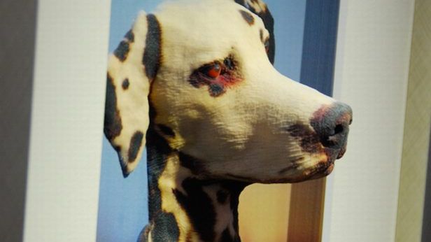 Imponujące obrazy trójwymiarowe według Casio [CES 2012] 1