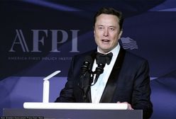 Elon Musk mógłby wpłynąć na wybory w Polsce? Jest sondaż