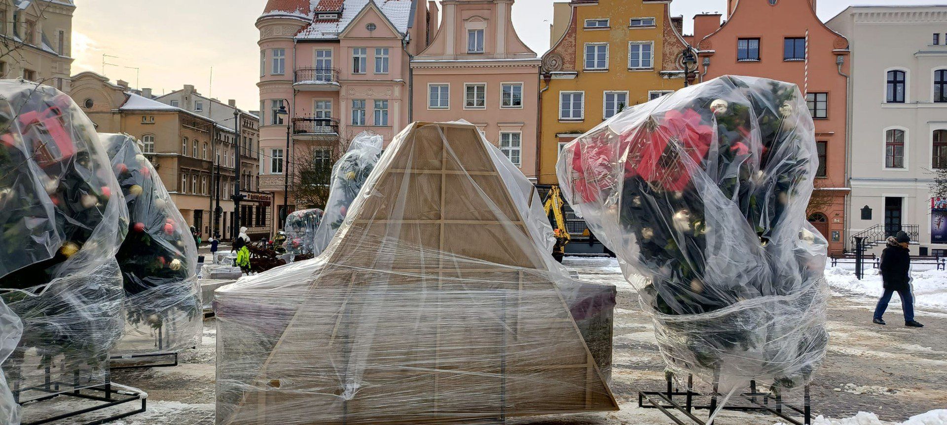 Ustawianie choinki na Rynku w Grudziądzu