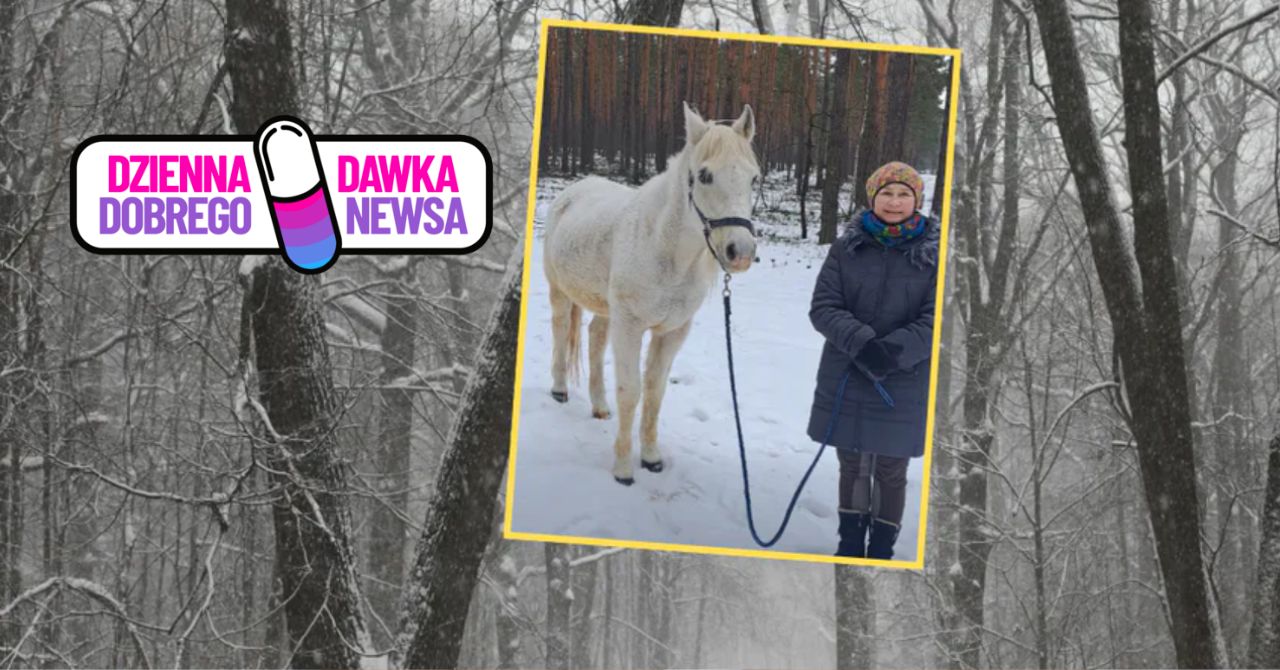 Leśnik aż chwycił za telefon. Prowadziła konia na smyczy