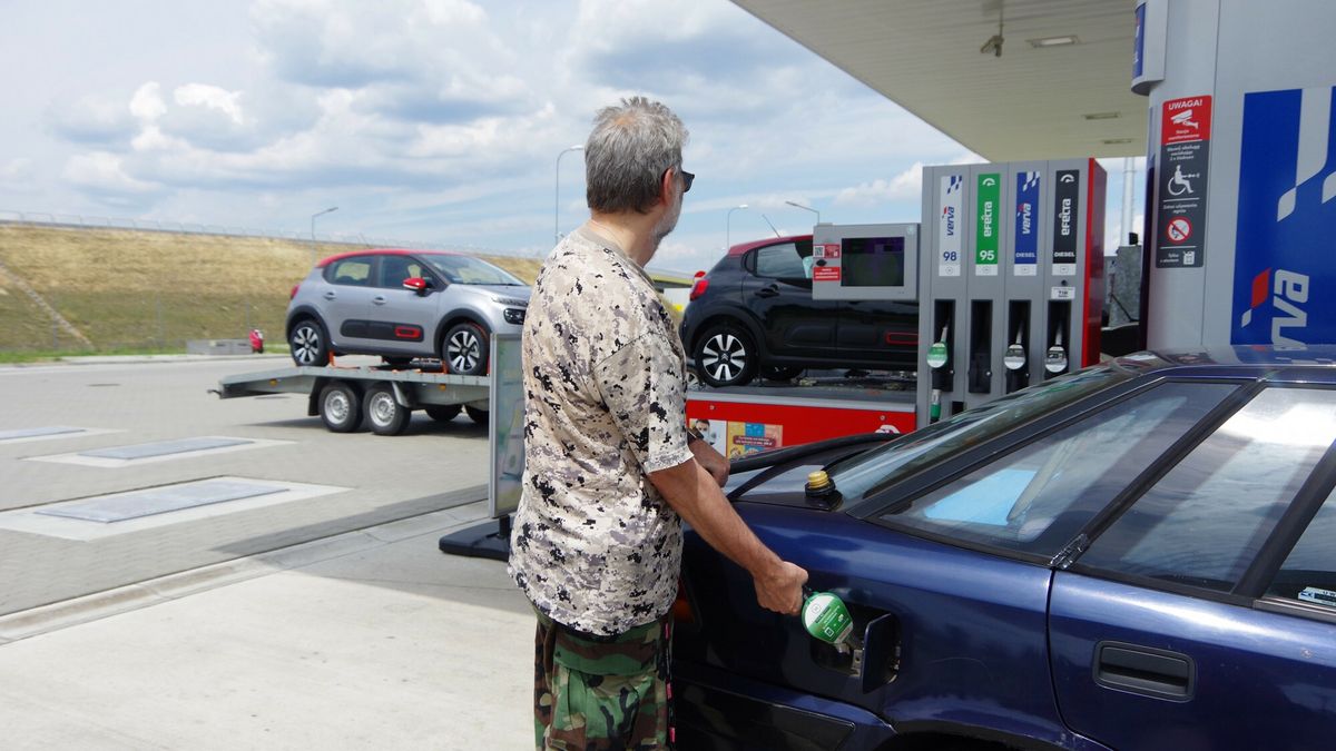 Zofia Bazak/EastNews