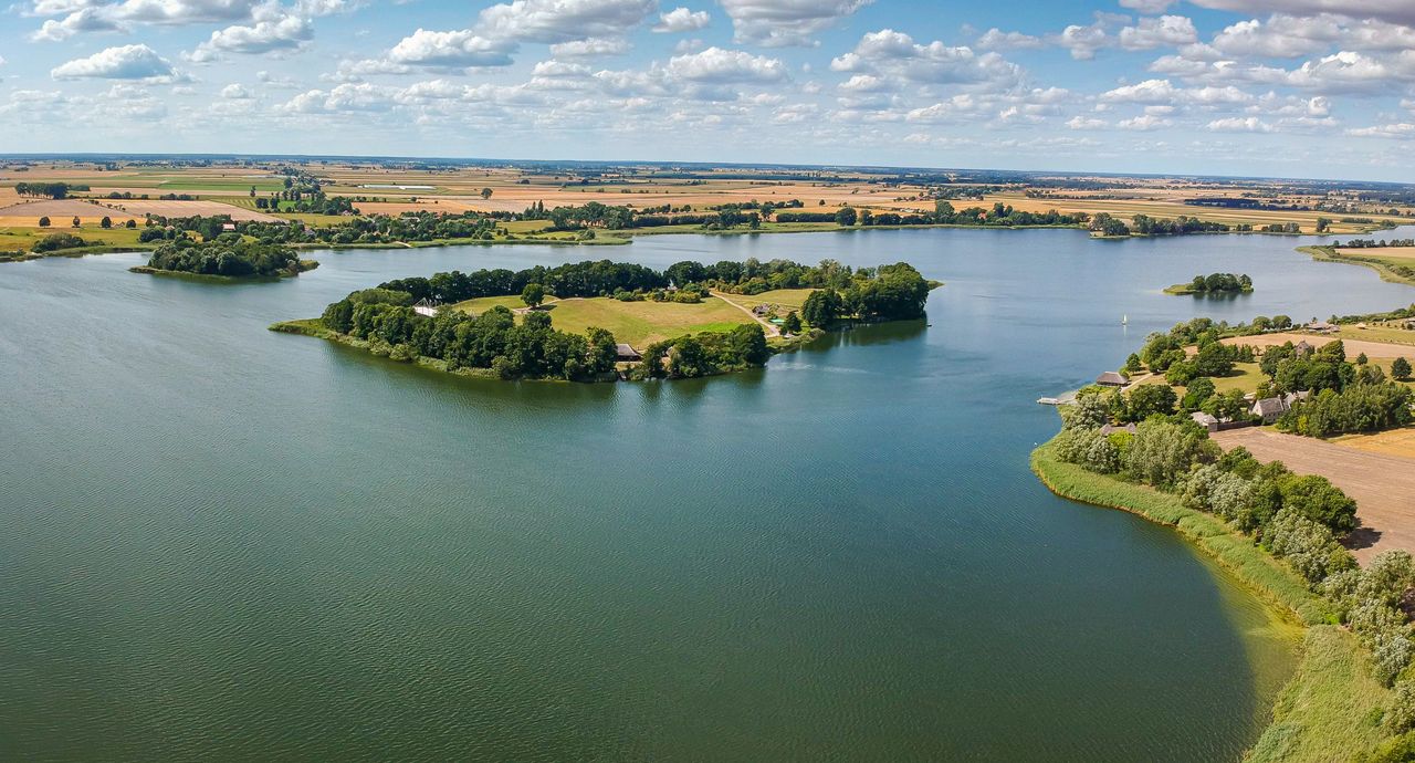 Hit na Lany Poniedziałek. Będzie nawet "chodzenie z niedźwiedziem"