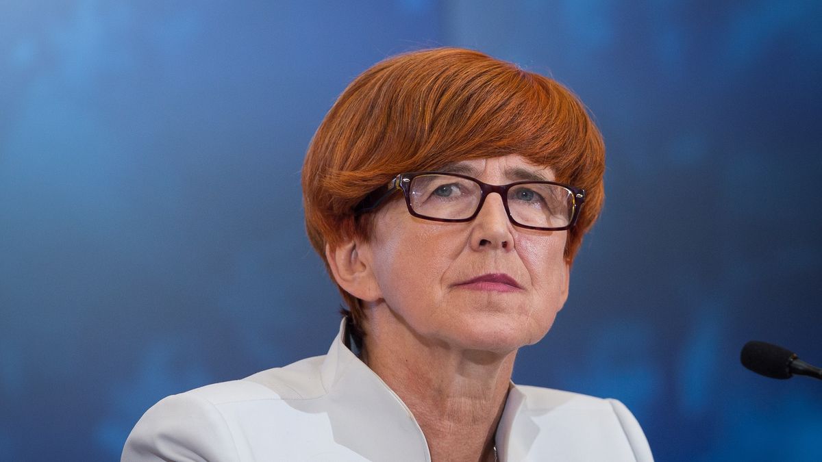 Emerytura Elżbiety Rafalskiej. Była minister PiS ujawniła kwotę w oświadczeniu majątkowym