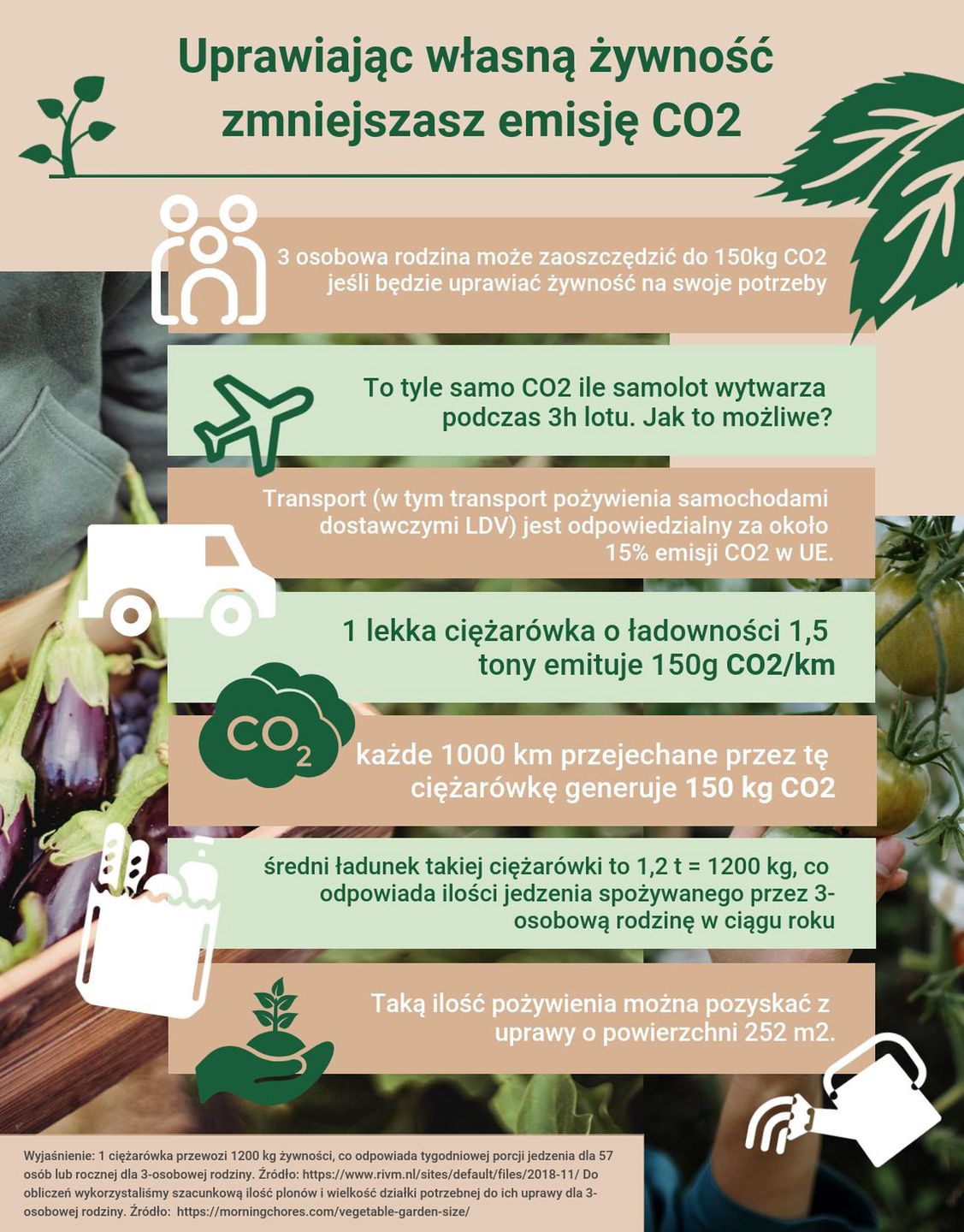 Własny ogród warzywny, czyli jak oszczędzić pieniądze i chronić środowisko naturalne