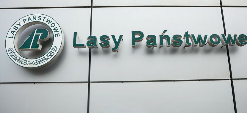 Są zarzuty dla byłego dyrektora Lasów Państwowych. Jest reakcja ministra