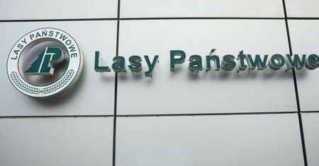 Są zarzuty dla byłego dyrektora Lasów Państwowych. Jest reakcja ministra