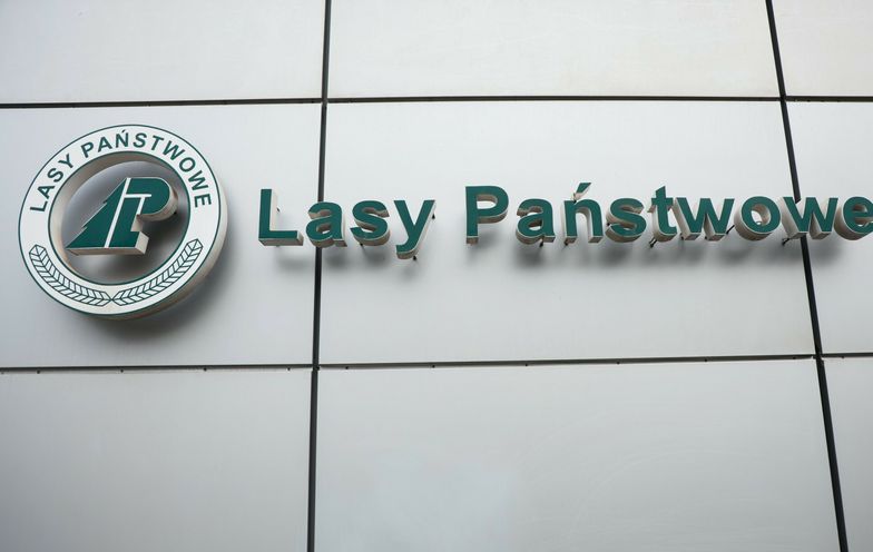 Są zarzuty dla byłego dyrektora Lasów Państwowych. Jest reakcja ministra