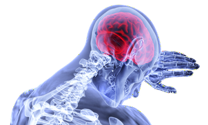 When you don’t sleep, your brain eats itself.