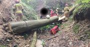 Tragiczny wypadek przy wycince drzew. Mężczyzna zginął na miejscu
