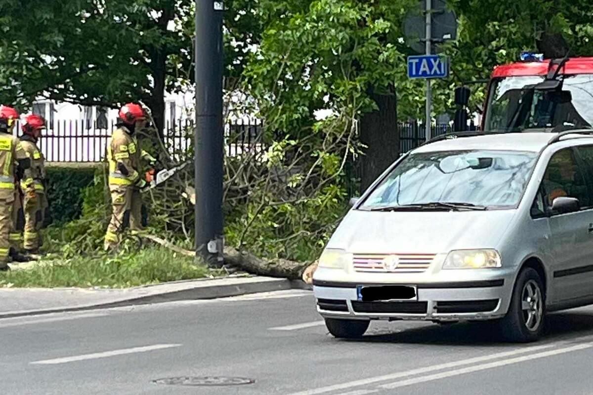Konar spadł na chodnik na ul. Obywatelskiej