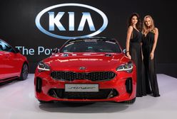 Kia na zielono i na sportowo. Światowe nowości na Poznań Motor Show