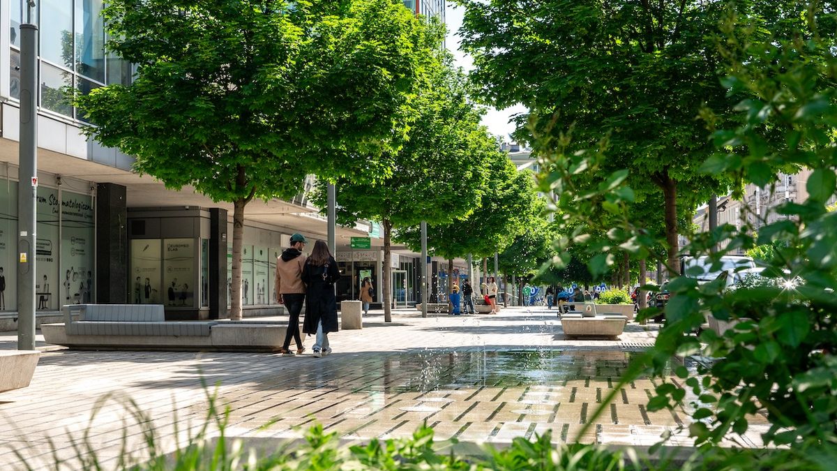 Coraz bardziej zielone centrum Poznania