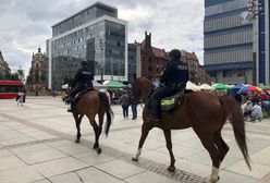 Katowice. Na miasto wyjechały patrole konne. Ma być bezpieczniej