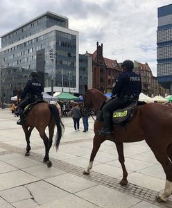 Katowice. Na miasto wyjechały patrole konne. Ma być bezpieczniej
