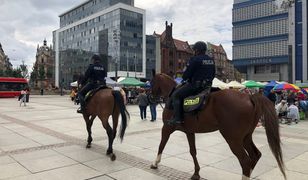 Katowice. Na miasto wyjechały patrole konne. Ma być bezpieczniej