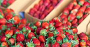 Jedz na zdrowie! Sezon na truskawki powoli się rozkręca