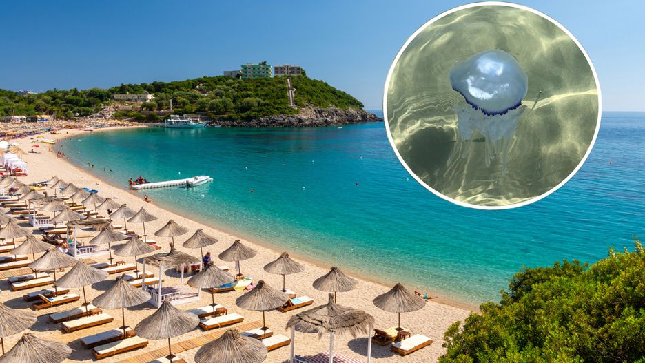 albania,himare,himara,umbrella,coast,blue,beach,water,dhermi,jale,bay,coastline,sunny,sun,aquamarine,paradise,jali,season,relax,tree,natural,tourism,beautiful,background,summer,view,outdoor,travel,landscape,nature,sea,shore,mediterranean,adriatic,balkans,albanian,ionian,vlore,vlora