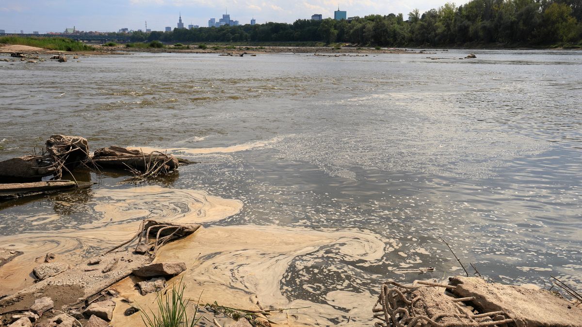 Stacja hydrologiczna Warszawa - Bulwary w lipcu