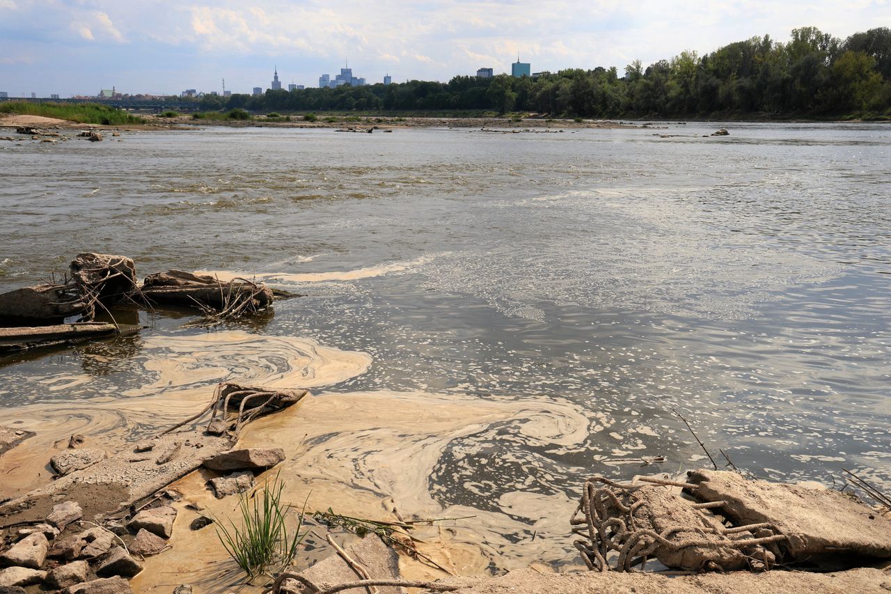 Susza w Polsce. Aż 31 ostrzeżeń IMGW, w rzekach coraz niższy poziom wody