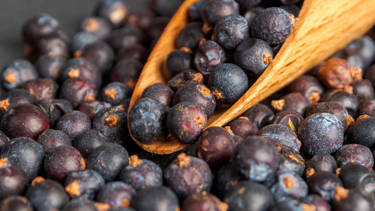 Te owoce można pomylić z jagodami