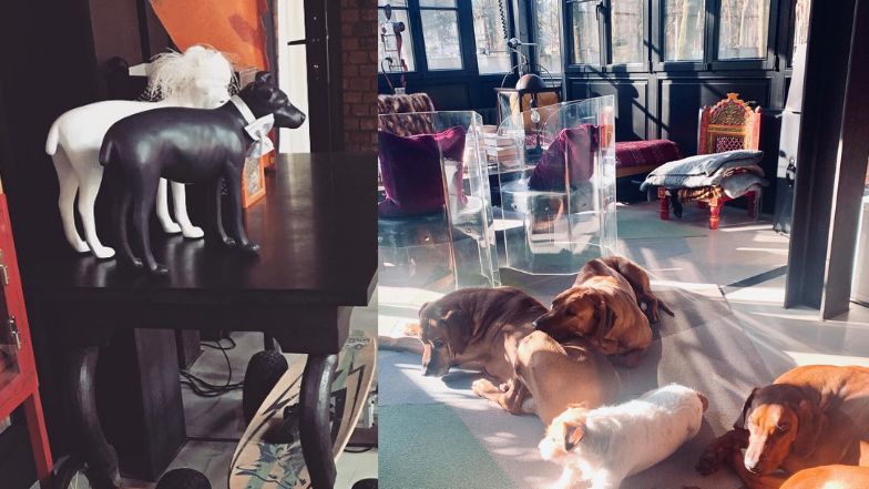  Zobaczcie jak mieszka Agnieszka Woźniak-Starak! 