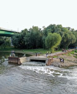 "Czajka". Miasto zapewnia, że zrzut ścieków nie był przyczyną śniętych ryb