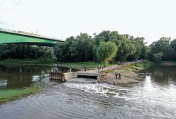 "Czajka". Miasto zapewnia, że zrzut ścieków nie był przyczyną śniętych ryb