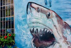 Wrocław Nadodrze. Podwórko, które bombarduje sztuką