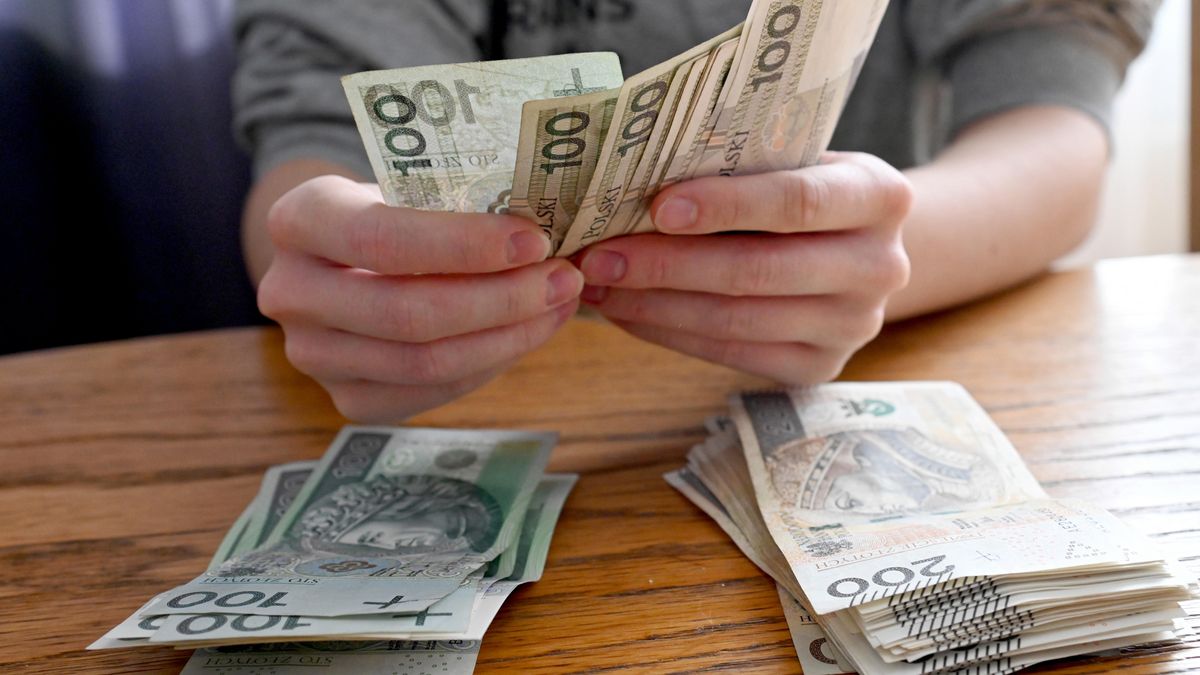 pieni�dze PLN
Szczecin, 09.09.2021. Banknoty, bilety Narodowego Banku Polskiego w nomina�ach 100 i 200 z�otowych trzymane w d�oniach, 9 bm. (ran) PAP/Marcin Bielecki
Marcin Bielecki
100 z�otych, 200 z�, 200 z�otych, banknoty, got�wka, kasa, pieni�dze, dlo�, d�onie, banknot�w, liczenie pieniedzy, z�ot�wki