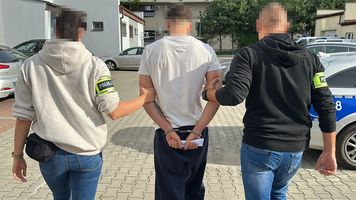 Narkotyki ukryte w meblach. 22-latek z Płońska trafił do aresztu