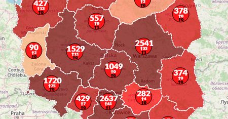 Koronawirus w Polsce. Blisko 14 tys. zarażonych. 3,5 mln chorych na świecie [Aktualna mapa]