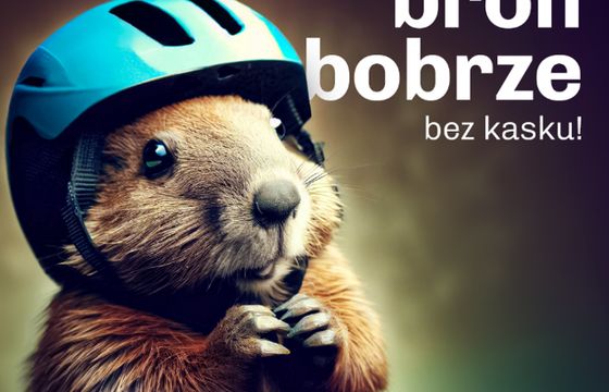 "Broń bobrze bez kasku" w kampanii społecznej województwa podlaskiego