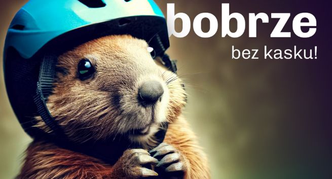 "Broń bobrze bez kasku" w kampanii społecznej województwa podlaskiego