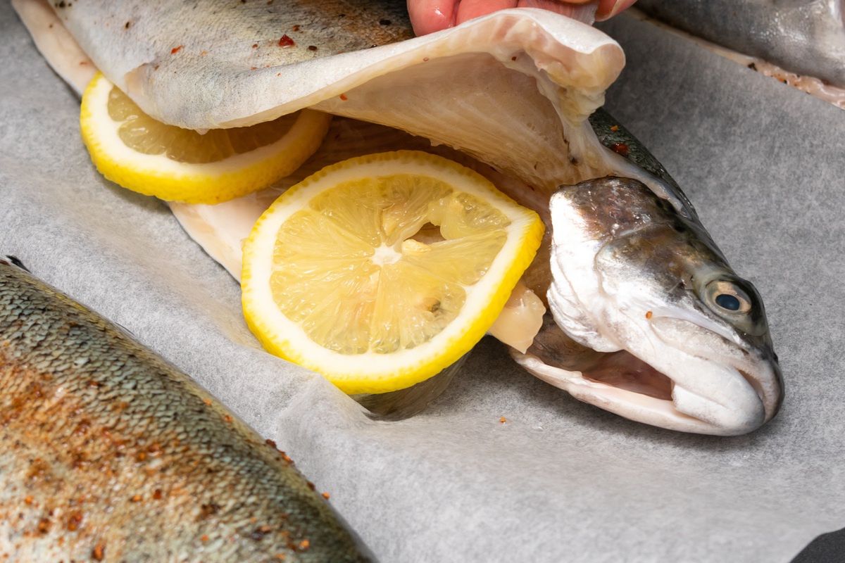 Najlepsza ryba na grilla. Prawie nie ma ości, a jej mięso jest delikatne, soczyste i pełne białka