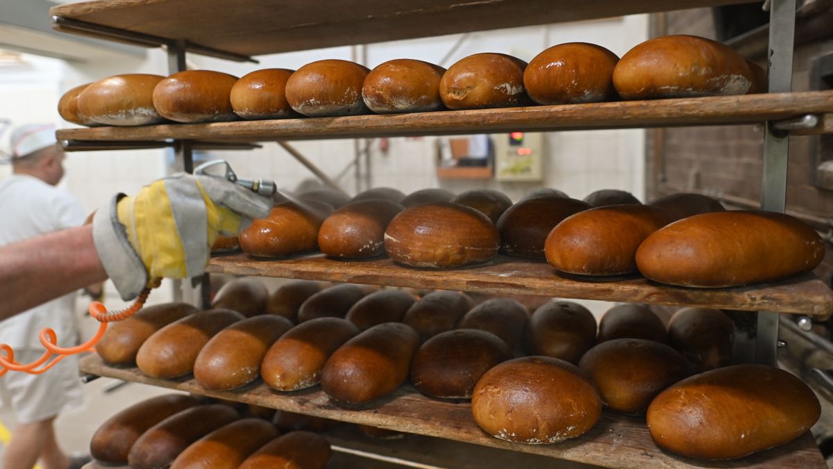 KRAKOW, POLAND - OCTOBER 28: Freshly baked bread out of the oven seen in 'My Dad's Bakery' (Polish: Piekarnia mojego Taty) on October 28, 2022 in Krakow, Poland. Inflation in Poland is galloping and food, including bread, is rising dramatically. Grain is more expensive than last year, despite the fact that the harvest this year was good. It is the prices of electricity, gas and fuel that are driving the prices of bread up. Therefore, the bread price forecasts were and still are to some extent very pessimistic. (Photo by Artur Widak/Anadolu Agency via Getty Images)