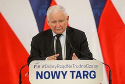 Eksperci komentują słowa Kaczyńskiego o "paleniu wszystkiego". "To kapitulacja"