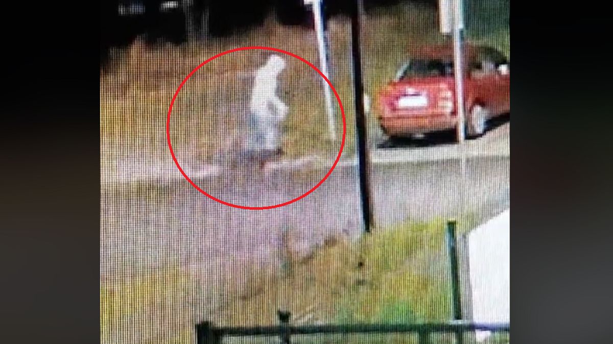 Szok. Zrobił to ze swoim psem. W komentarzach aż zawrzało. 