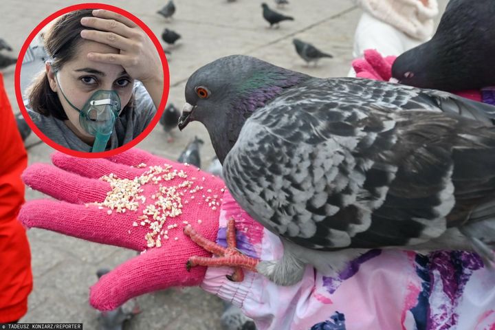 WHO ostrzega przed chorobą przenoszoną przez ptaki. Zmarło 5 osób. Czy w Polsce są powody do obaw?