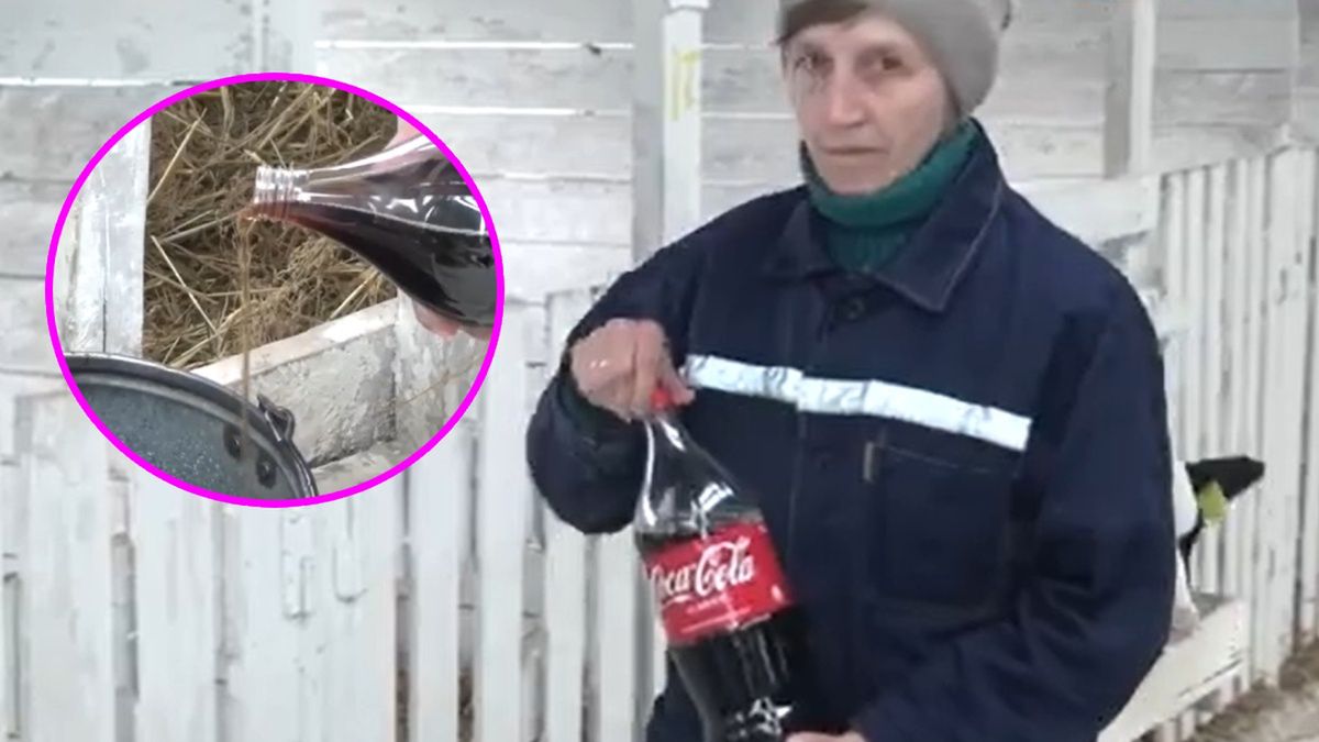 Niedawno krowom podawano coca-colę, teraz piją jej białoruską podróbkę 