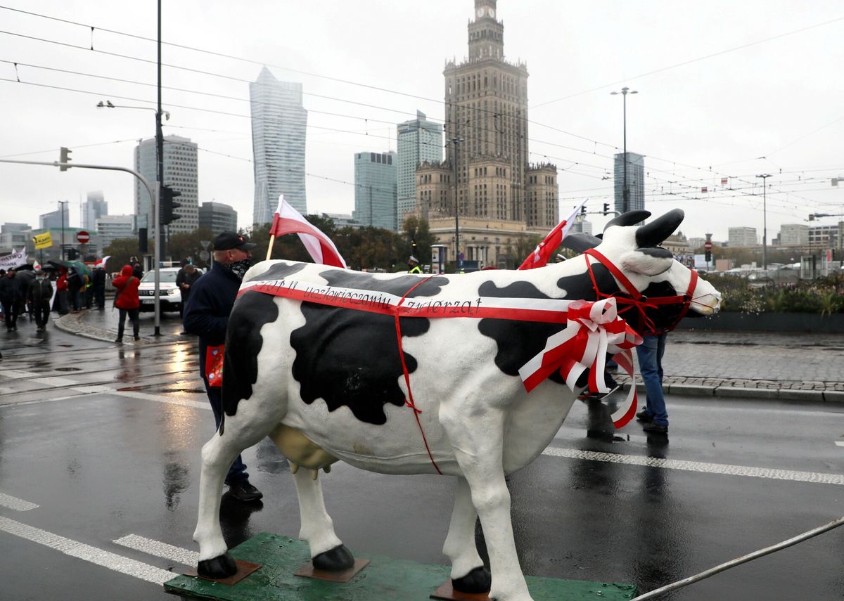 Rolnicy podczas protestu w Warszawie w 2020 roku