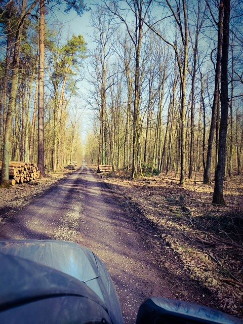 Ochrona przyrody i walka z przestępstwami. Wspólna akcja „Wieniec” Straży Leśnej i Policji