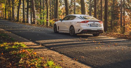 Czy Kia Stinger to prawdziwe GT? Sprawdzamy to na trasie wyścigu górskiego w Siennej