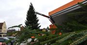 Sławno: MPGKiM zamontowało świąteczną choinkę na placu