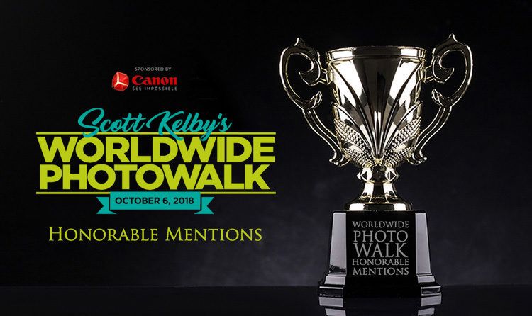 Zdjęcie z Bierunia wśród najlepszych na świecie 2