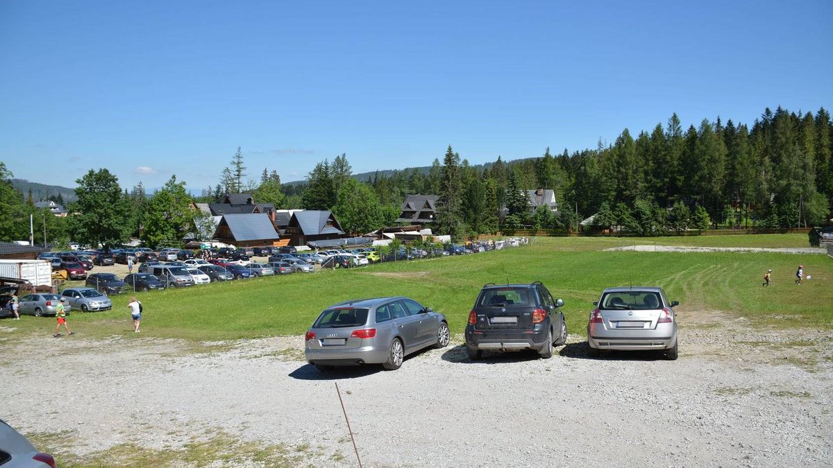 Zdjęcie ilustracyjne. 