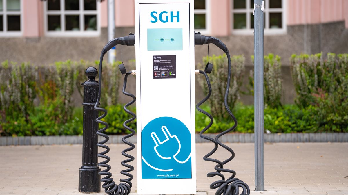 Wysokie mandaty za stanie w tych miejscach