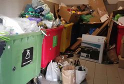 Wrocław. Akcja Sprzątanie Świata 2020. Dołączyć może każdy