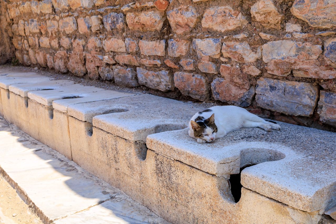 Ancient toilets in Ephesus